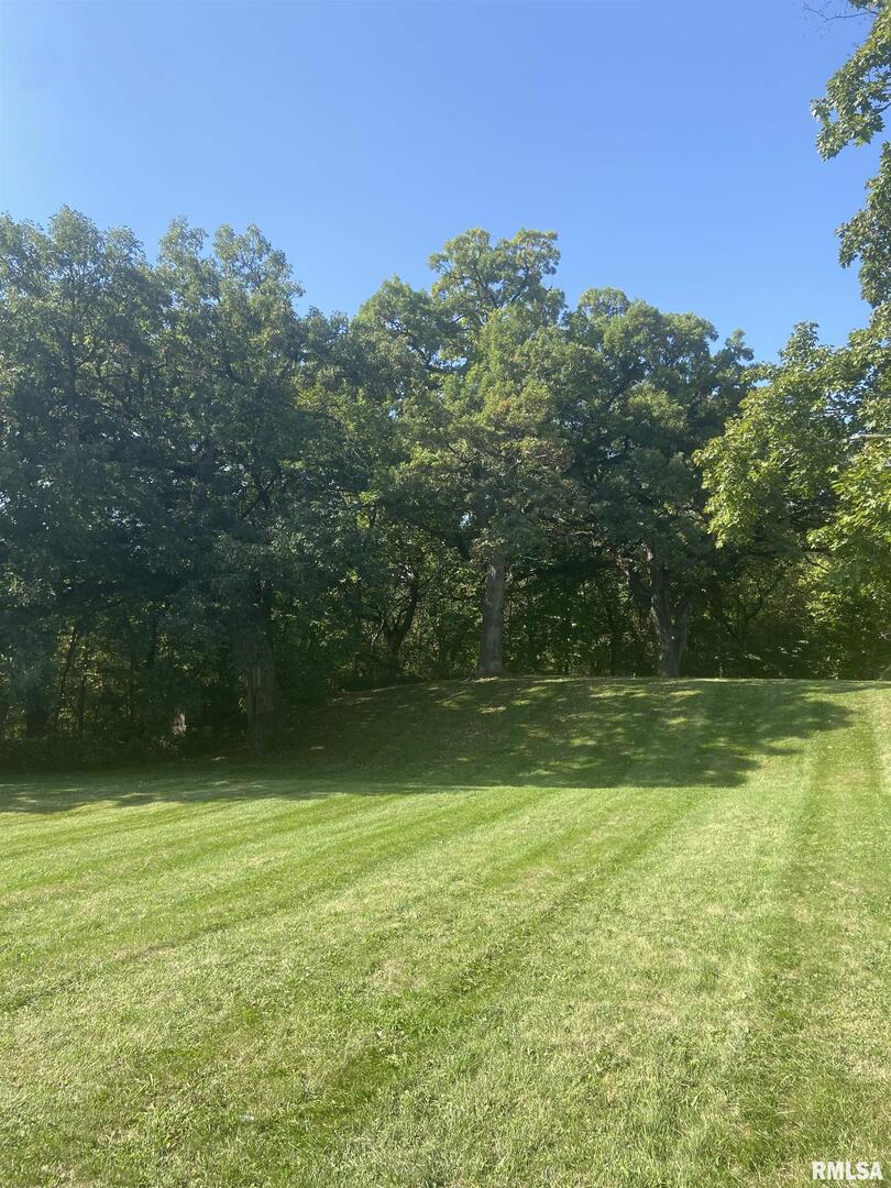 700 North Bluff Boulevard Clinton, IA 52732 - Photo 4 of 4