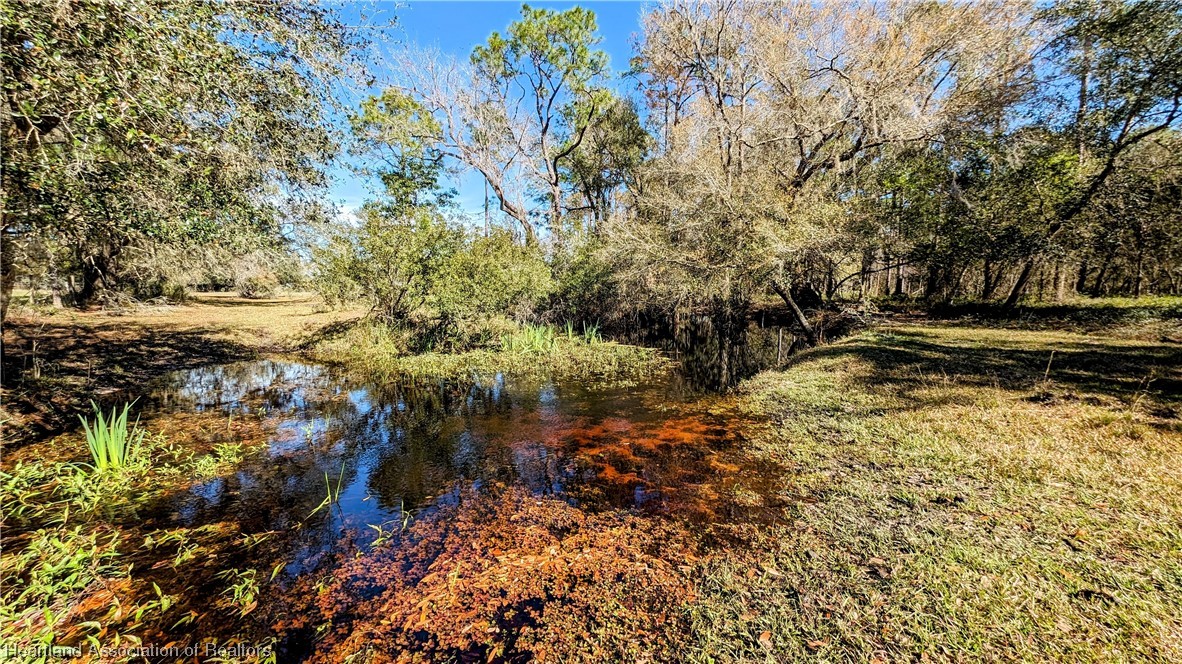4594 Davis Road Zolfo Springs, FL 33890 - Photo 1 of 34 Gallery Image 1