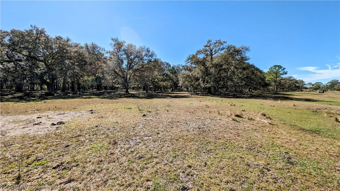 4594 Davis Road Zolfo Springs, FL 33890 - Photo 19 of 34 Gallery Image 19