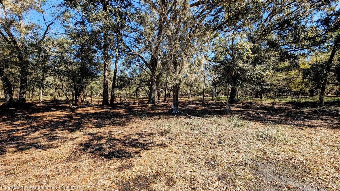 4594 Davis Road Zolfo Springs, FL 33890 - Photo 23 of 34 Gallery Image 23