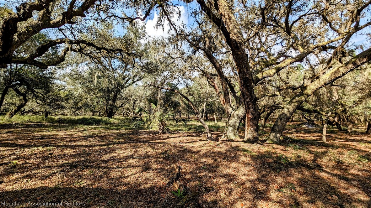 4594 Davis Road Zolfo Springs, FL 33890 - Photo 24 of 34 Gallery Image 24