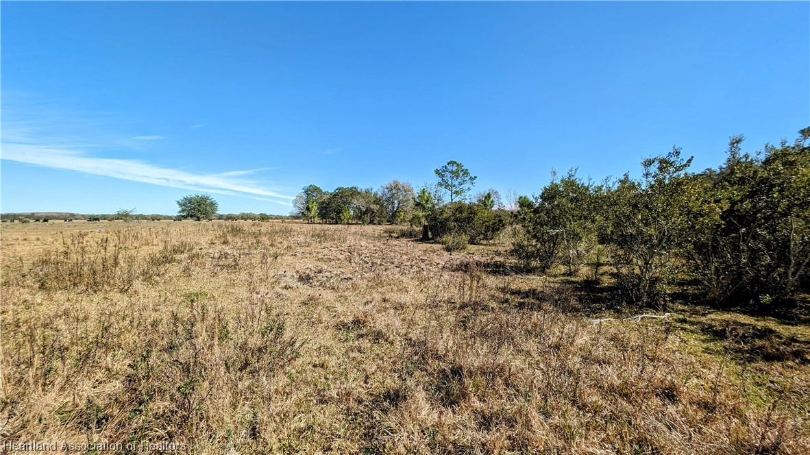 4594 Davis Road Zolfo Springs, FL 33890 - Photo 4 of 34 Gallery Image 4