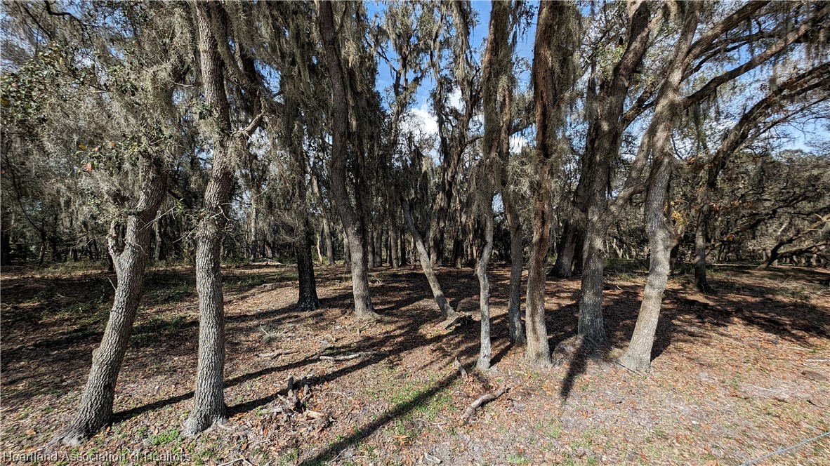 4594 Davis Road Zolfo Springs, FL 33890 - Photo 6 of 34 Gallery Image 6