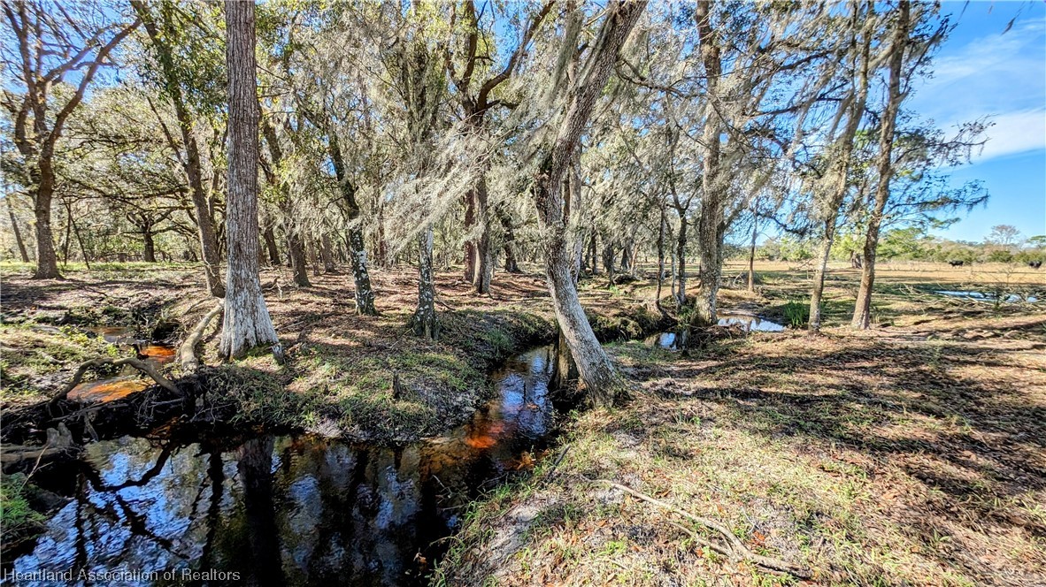 4594 Davis Road Zolfo Springs, FL 33890 - Photo 8 of 34 Gallery Image 8
