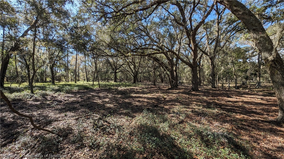 4594 Davis Road Zolfo Springs, FL 33890 - Photo 10 of 34 Gallery Image 10
