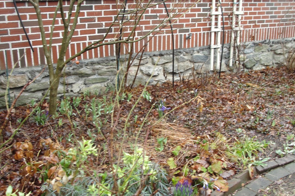 13 Montvale Road Worcester, MA 01609 - Photo 29 of 30 Gallery Image 29