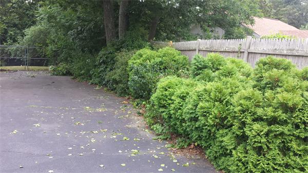 202 Bay Road Stoughton, MA 02072 - Photo 10 of 14 Gallery Image 10