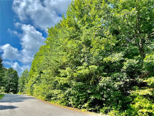 $30,000 | Lot 21 Rose Brier Road, Boomer, NC 28606