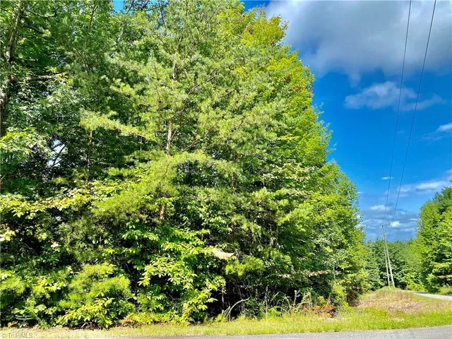 $30,000 | Lot 21 Rose Brier Road, Boomer, NC 28606