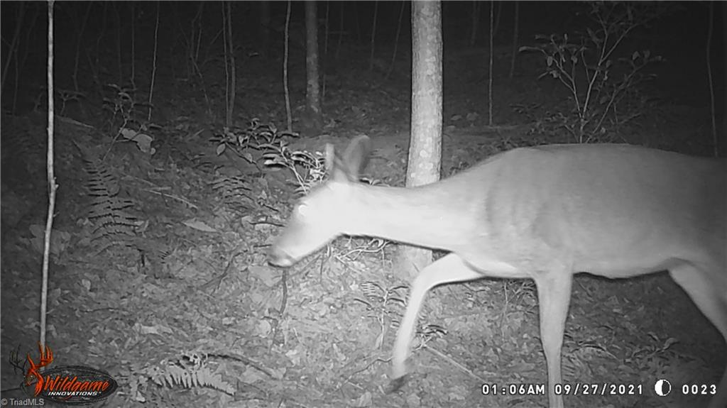 Lot 21 Rose Brier Road Boomer, NC 28606 - Photo 9 of 9