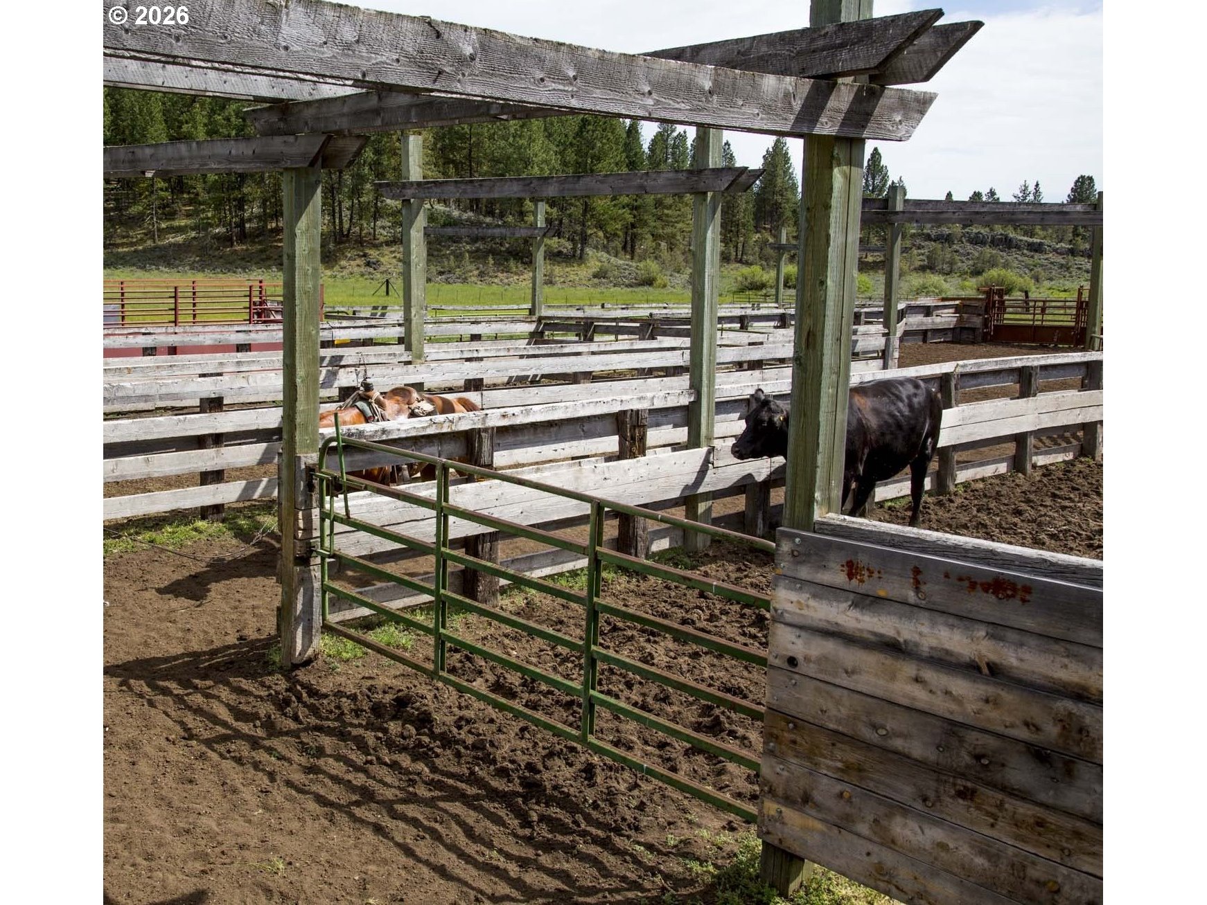 0 Fishhole Creek Road Lakeview, OR 97630 - Photo 13 of 25