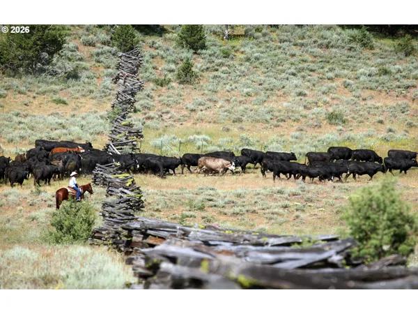 $12,000,000 | 0 Fishhole Creek Road, Lakeview, OR 97630