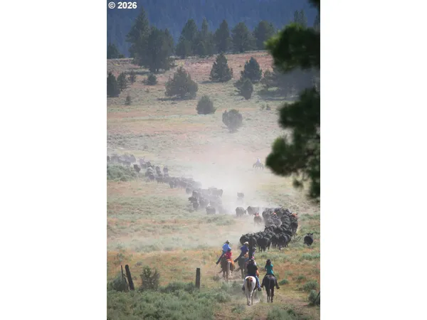 $12,000,000 | 0 Fishhole Creek Road, Lakeview, OR 97630