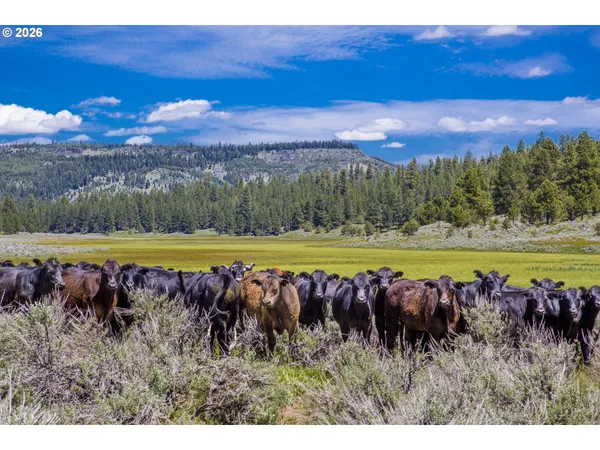 $12,000,000 | 0 Fishhole Creek Road, Lakeview, OR 97630