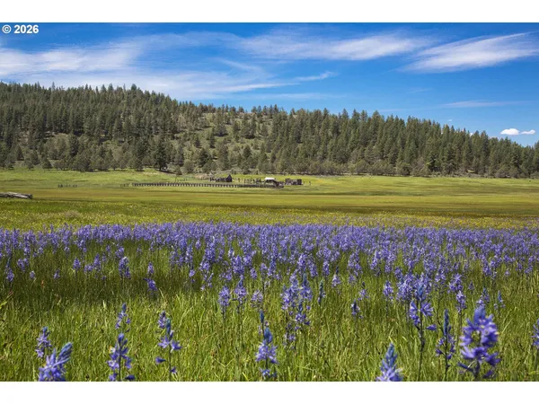 $12,000,000 | 0 Fishhole Creek Road, Lakeview, OR 97630