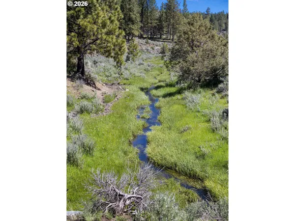 $12,000,000 | 0 Fishhole Creek Road, Lakeview, OR 97630