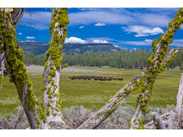 $12,000,000 | 0 Fishhole Creek Road, Lakeview, OR 97630