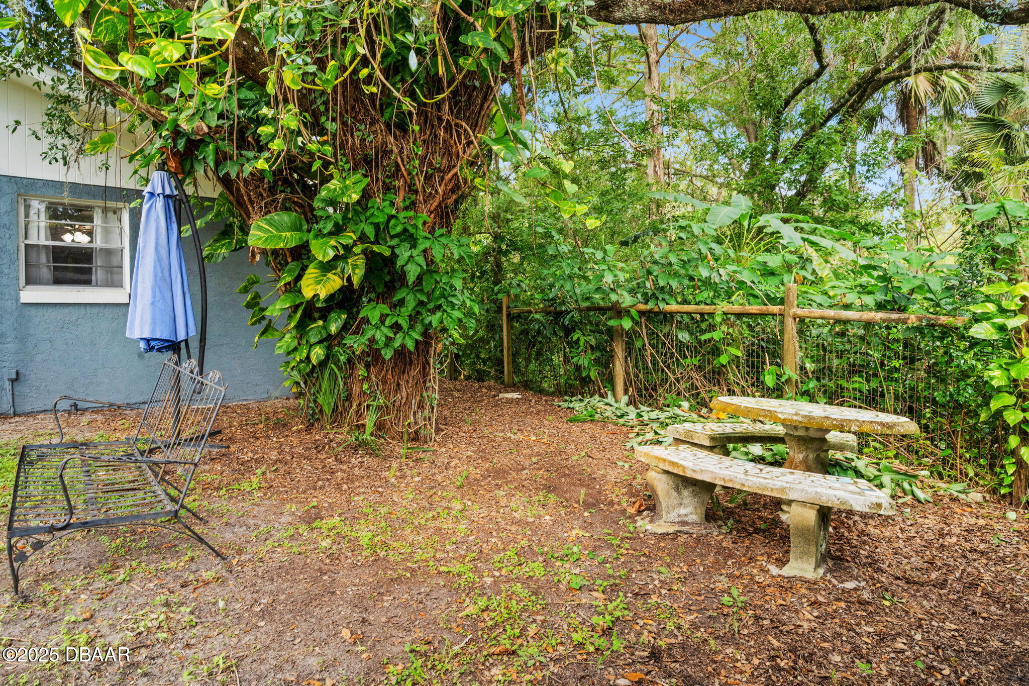 2439 Old Samsula Road Port Orange, FL 32128 - Photo 14 of 35 a backyard of a house with table and chairs