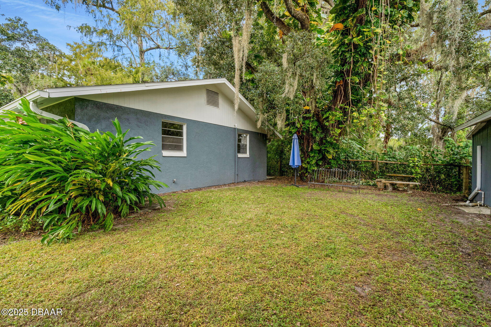 2439 Old Samsula Road Port Orange, FL 32128 - Photo 16 of 35 a backyard of a house with plants and tree