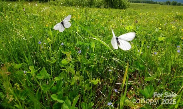a kitchen with a sink and a stove