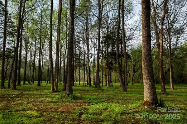 a view of a park