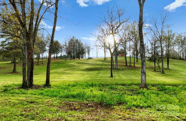 a view of a park with tree s