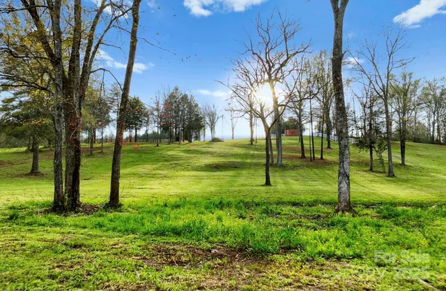 a view of a park with tree s