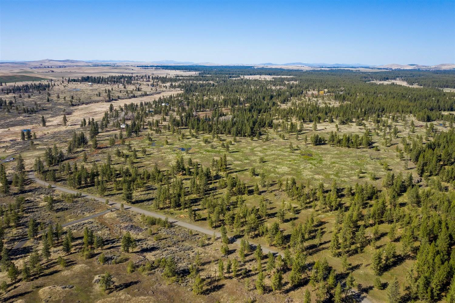 21100 South Harrison (parcel B) Road Edwall, WA 99008 - Photo 3 of 10