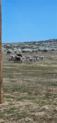 a view of ocean with beach