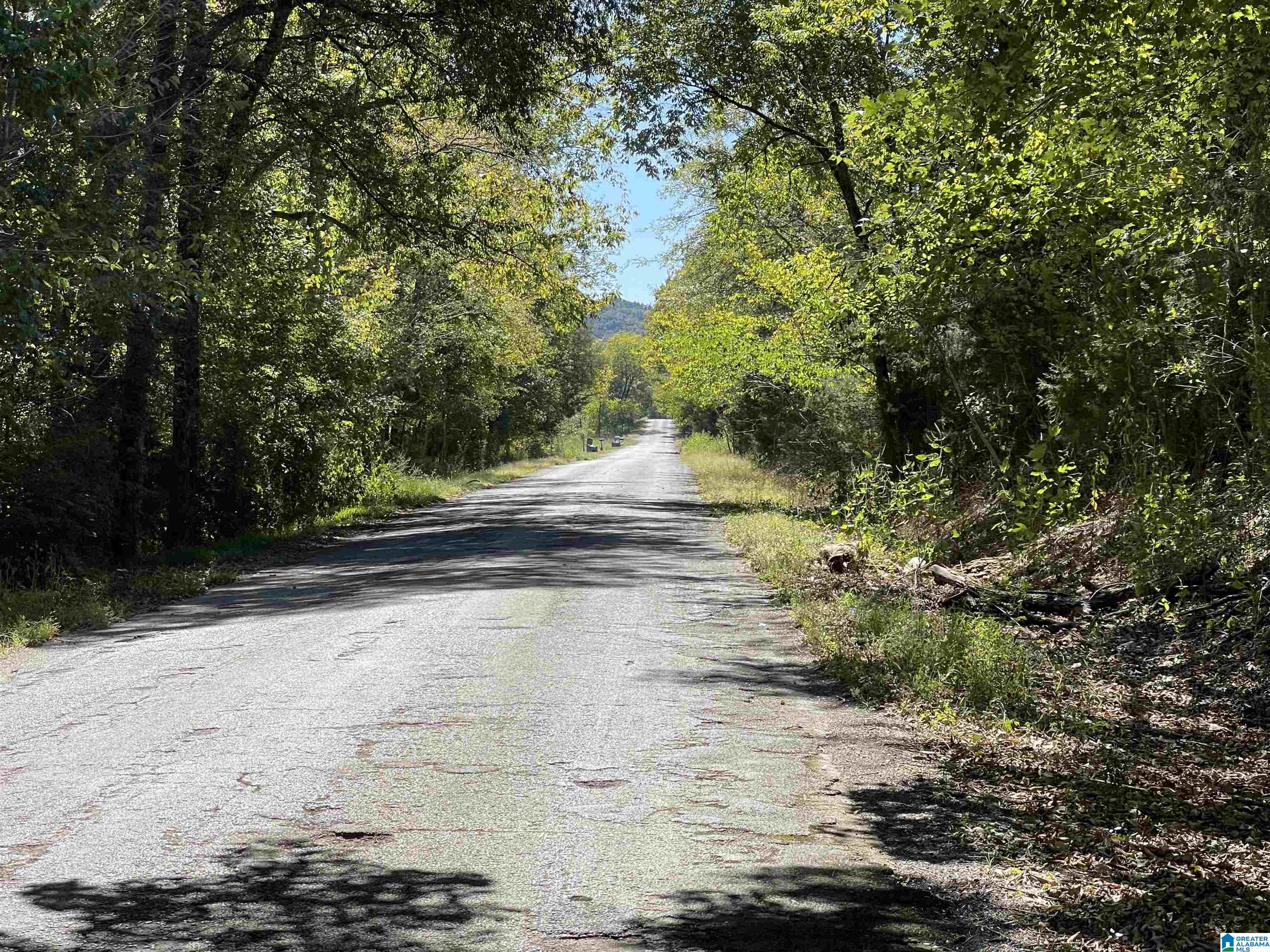 0 Old Highway 75, Unit ACREAGE Oneonta, AL 35121 - Photo 2 of 3