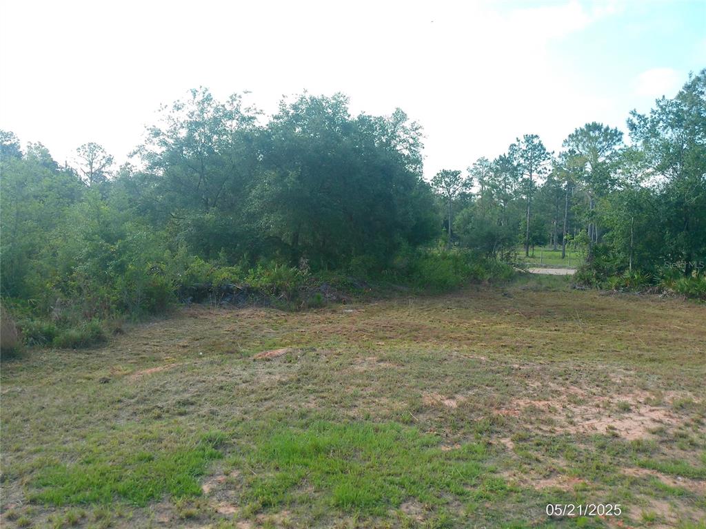 1500 Fazzini Drive Frostproof, FL 33843 - Photo 30 of 34