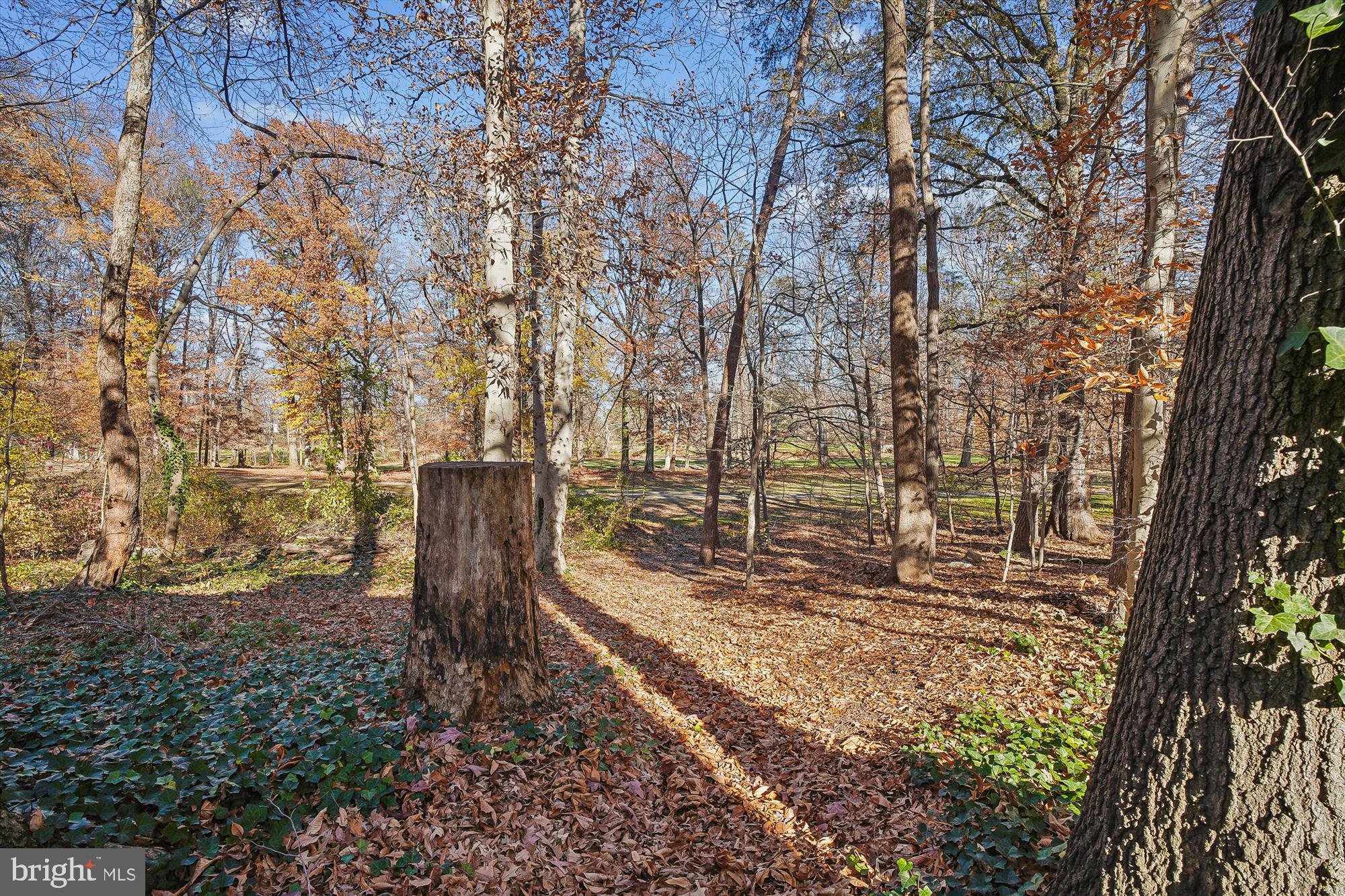 2542 Windy Oak Court Crofton, MD 21114 - Photo 35 of 37 a backyard of a house with lots of green space