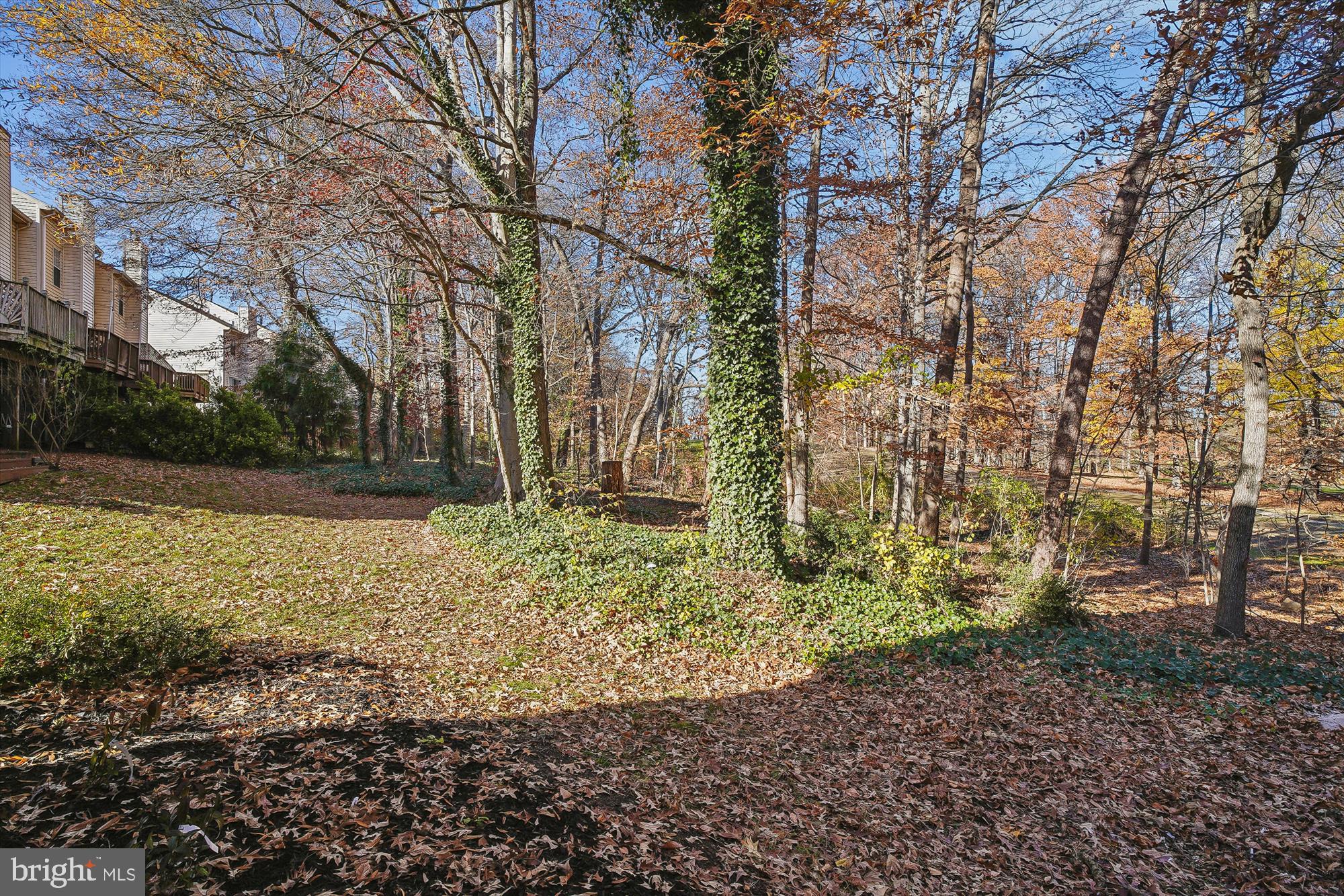 2542 Windy Oak Court Crofton, MD 21114 - Photo 36 of 37 a view of backyard with green space