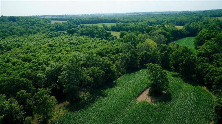 1 Paynes Mill Road Versailles, KY 40383 - Photo 20 of 36 Photo 20