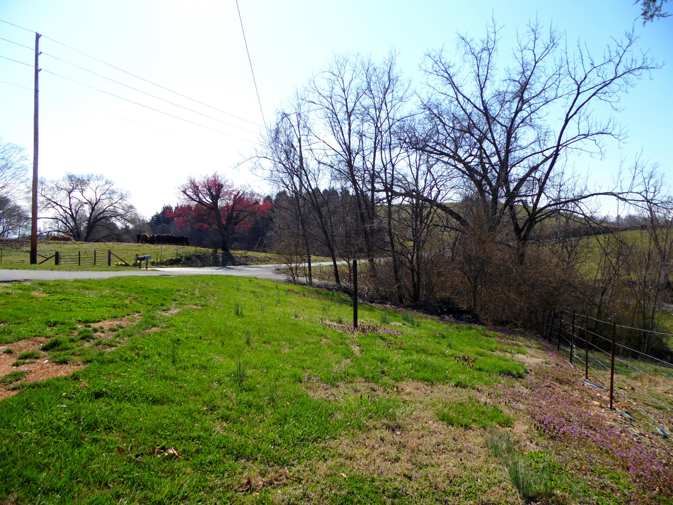 3008 Demory Road La Follette, TN 37766 - Photo 5 of 27 SAM_0691