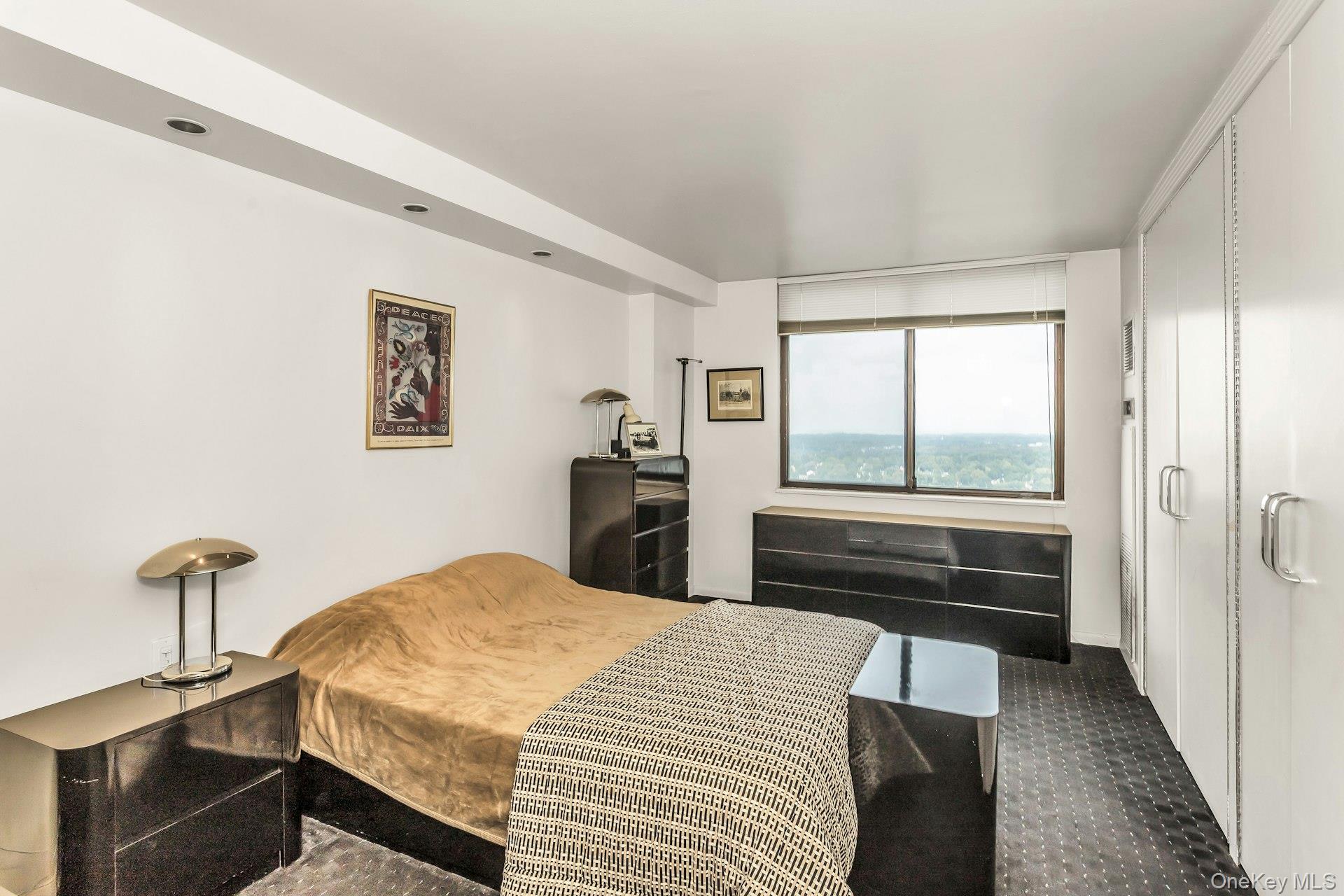 269 Grand Central Parkway, Unit 27T Queens, NY 11005 - Photo 11 of 43 a bedroom with a bed and a walk in closet