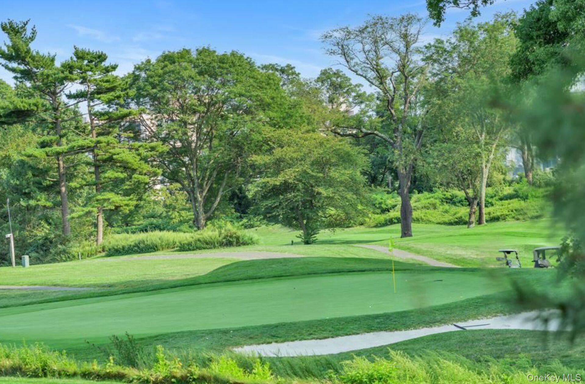 269 Grand Central Parkway, Unit 27T Queens, NY 11005 - Photo 34 of 43 a view of a grassy field with trees