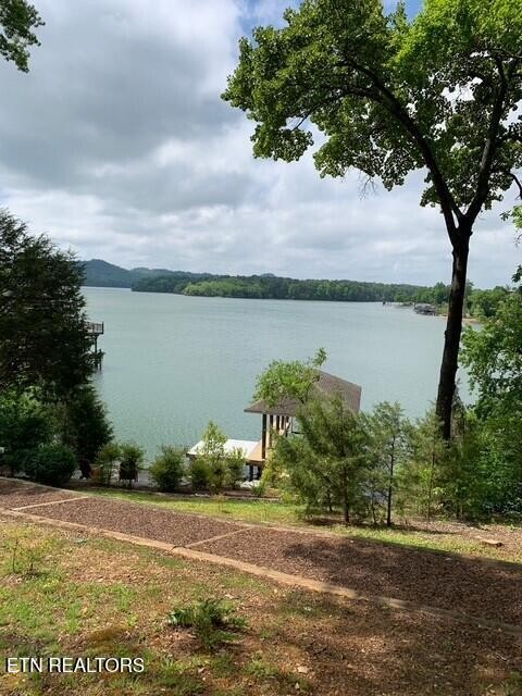 220 Thunder Road Vonore, TN 37885 - Photo 60 of 60 Gallery Image 60