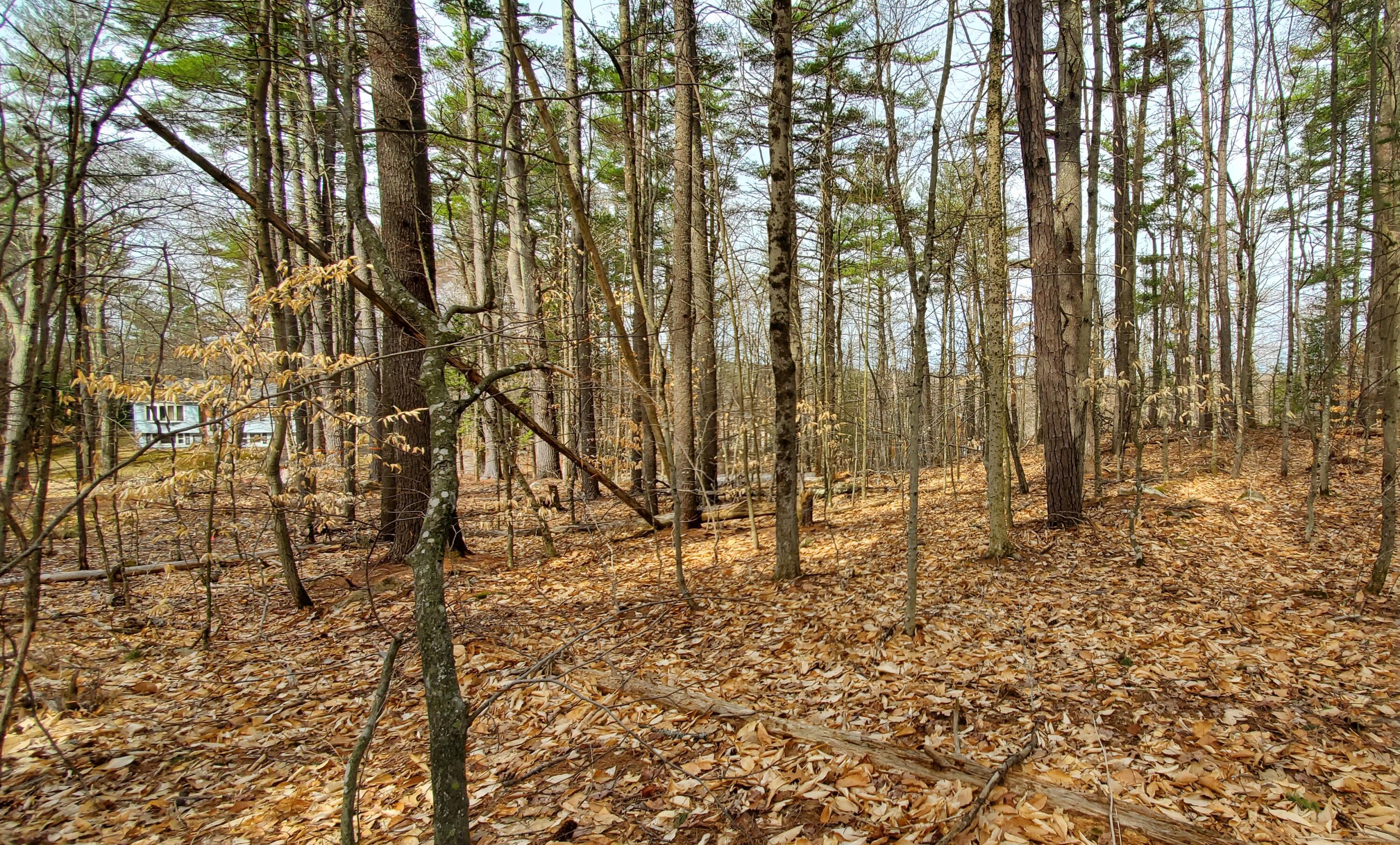 Lot 071 Gore Road Naples, ME 04055 - Photo 3 of 12 20220425_093444