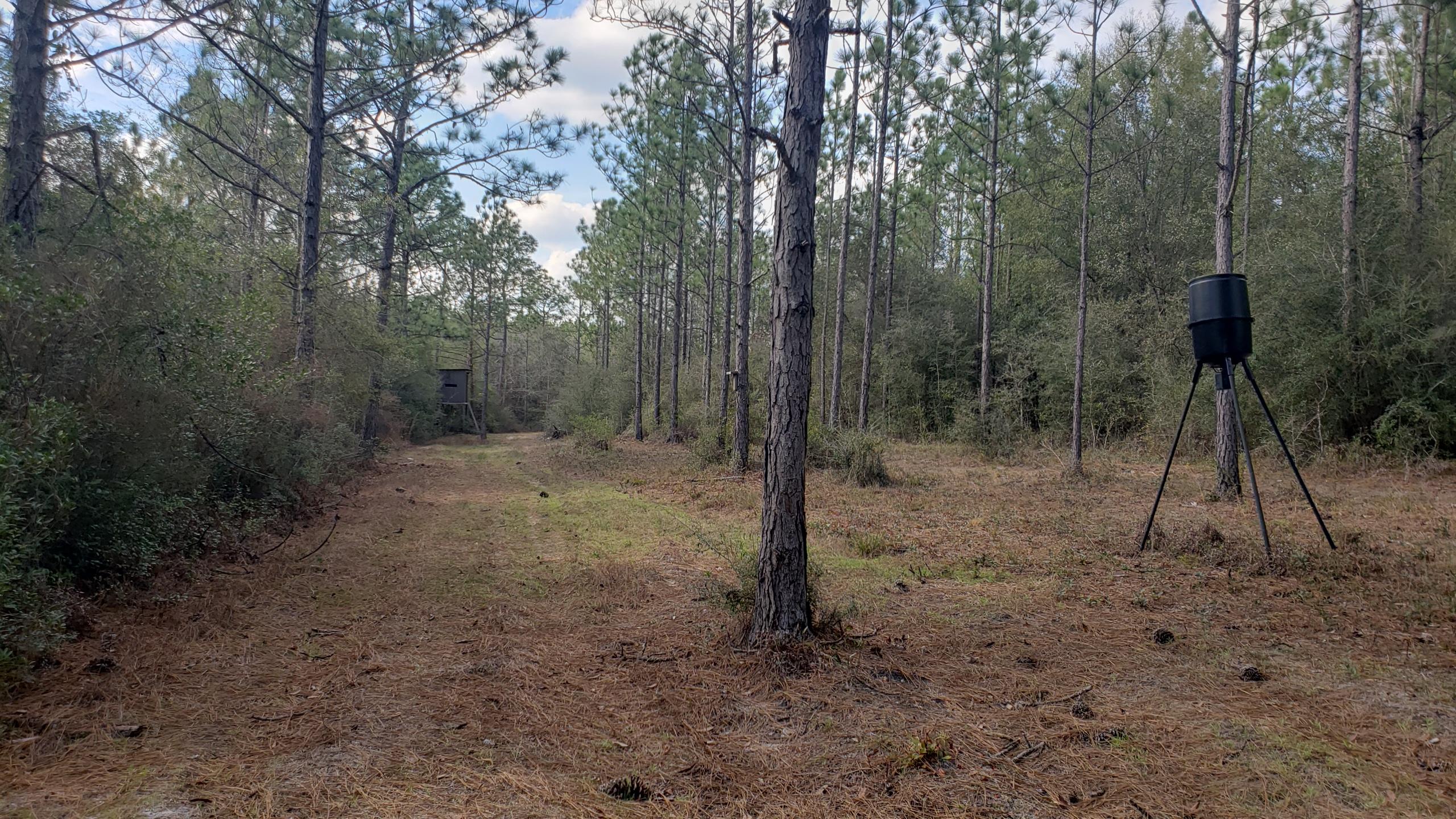2008 Faulk Ferry Road Baker, FL 32531 - Photo 51 of 54