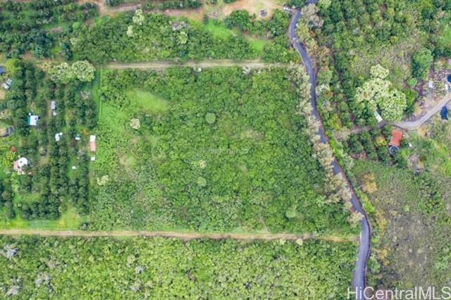 88-2437 Milolii Road Captain Cook, HI 96704 - Photo 1 of 1 a view of a green yard with large trees