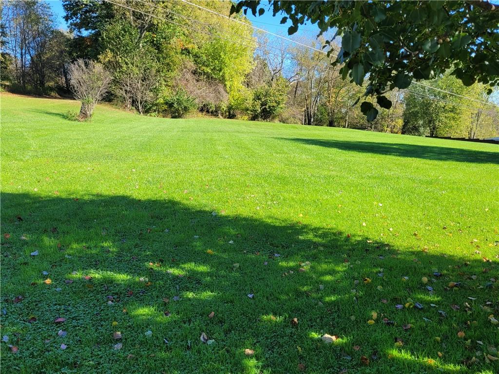 117 Thompson Road Sarver, PA 16055 - Photo 9 of 25 a view of a field with trees in the background