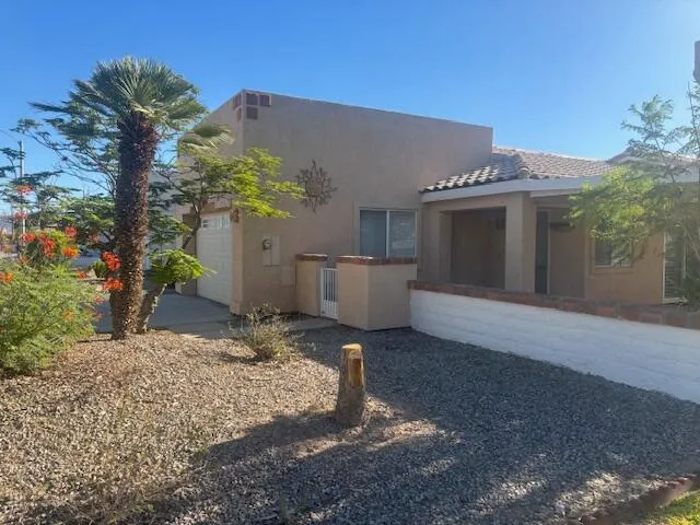 a backyard of a house with plants and tree