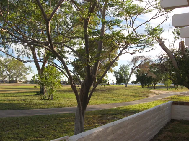 a view of a wrought iron fences