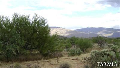 8475 South Tumbling X Ranch Place Vail, AZ 85641 - Photo 10 of 19 Gallery Image 10