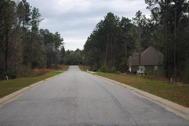 20025 Bunker Loop Fairhope, AL 36532 - Photo 6 of 15