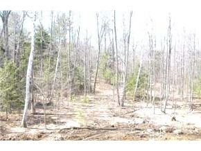 R41-7b Dowboro Road Pittsfield, NH 03263 - Photo 7 of 7
