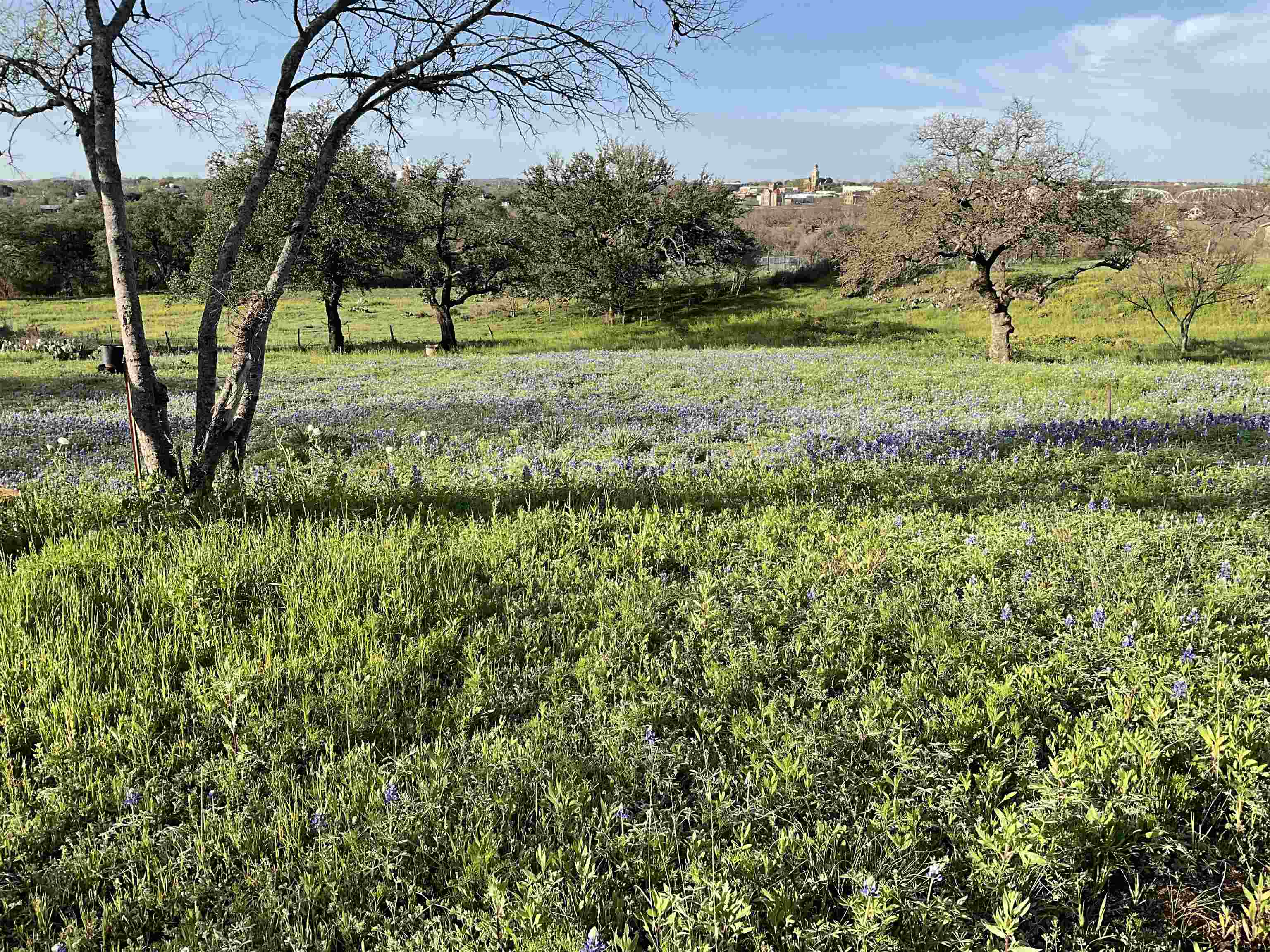 East Tarrant Street Llano, TX 78643 - Photo 1 of 19 a view of backyard with green space