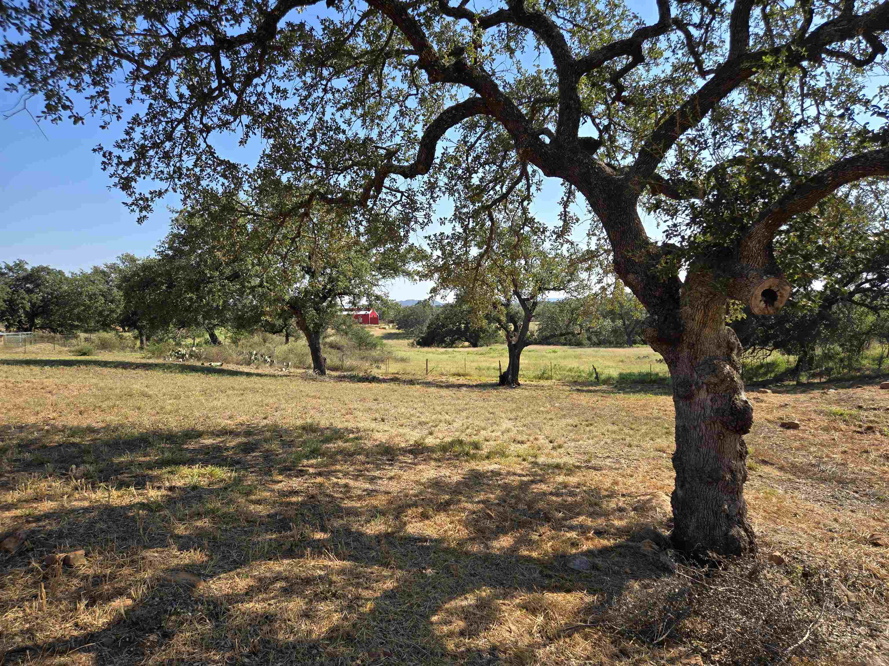 East Tarrant Street Llano, TX 78643 - Photo 13 of 19 a view of a yard with trees