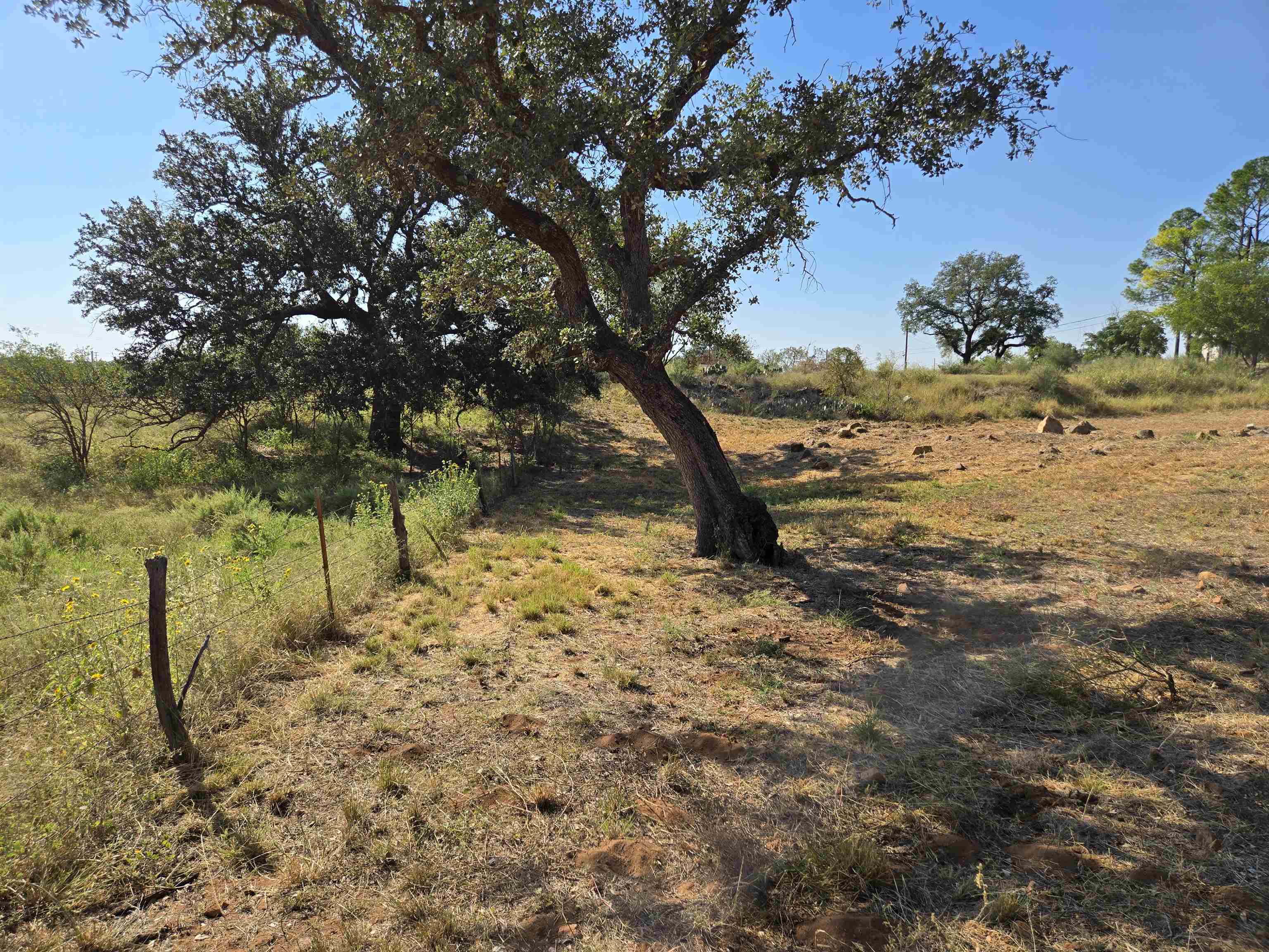 East Tarrant Street Llano, TX 78643 - Photo 16 of 19 a view of ocean view with large trees